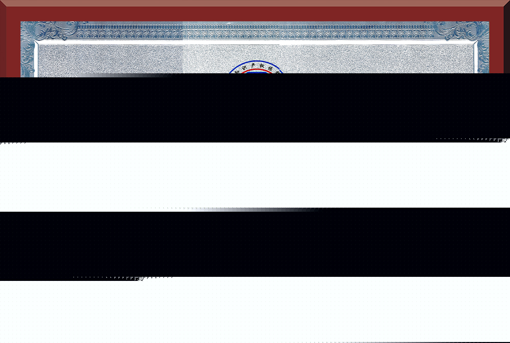 05、廣東省知識產(chǎn)權示范企業(yè)